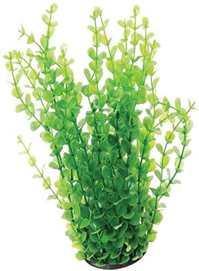 Underwater Treasures 20754 Green Moneywort